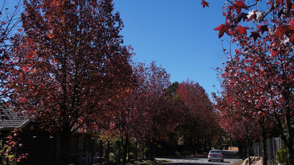 Gramado Aconchegante Διαμέρισμα Δωμάτιο φωτογραφία