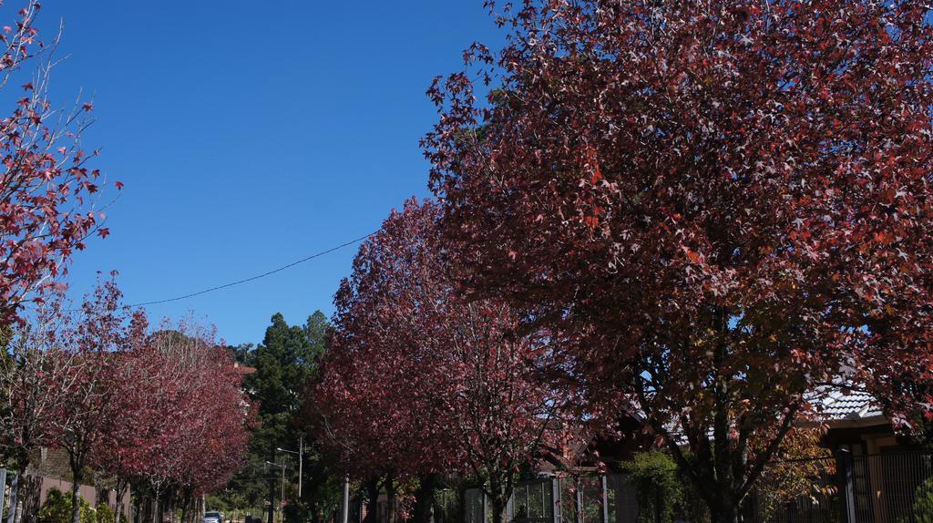 Gramado Aconchegante Διαμέρισμα Δωμάτιο φωτογραφία